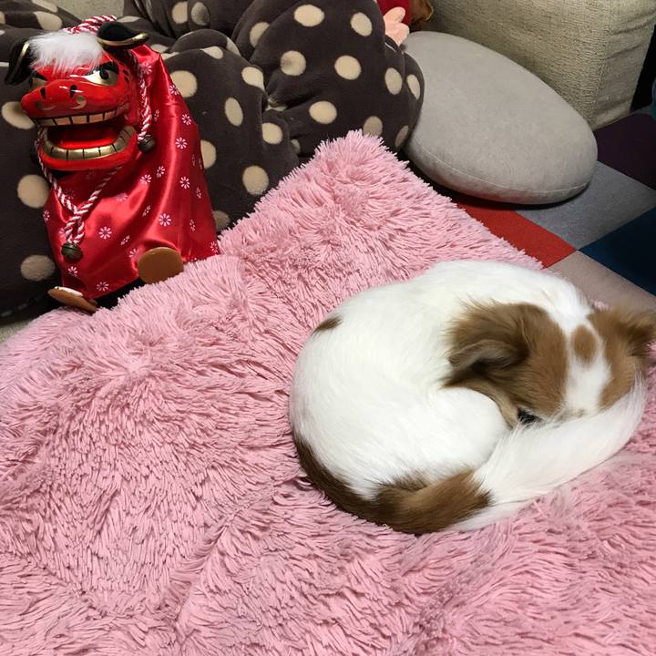 3a7e8a6a a375 448b ae6f 7868e310db9f 1515892935356