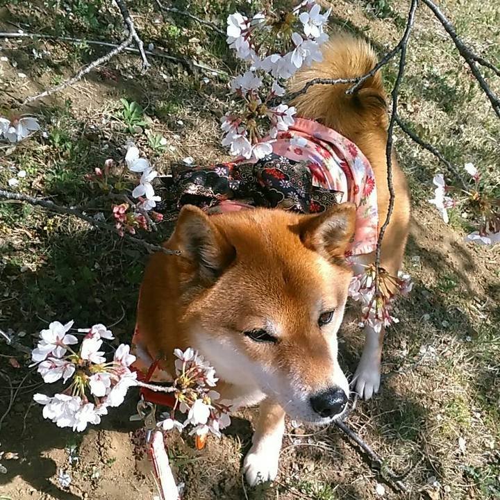 3a7ea28d 4ed4 4152 bd59 37cd17104fec 1554450231632