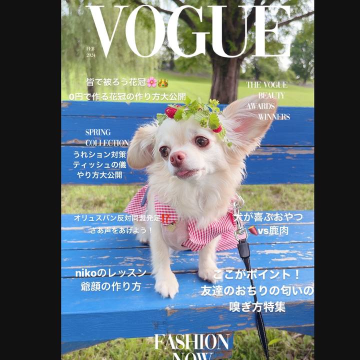 3a7f310b 268b 4df4 bbbf a798efd2b00f 1717925095425