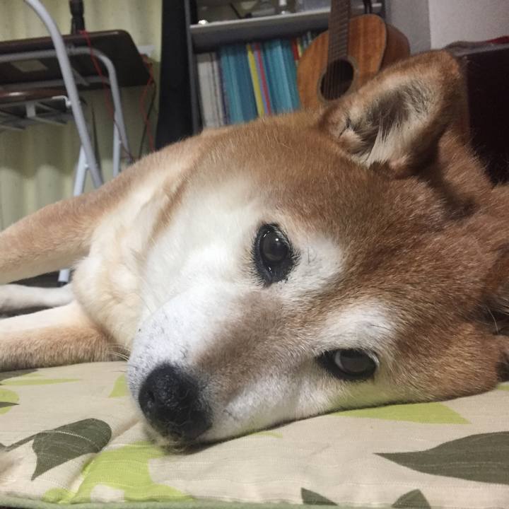 3a7f5c32 9cd4 4d19 ae31 2a95ecef3e41 1522235265438