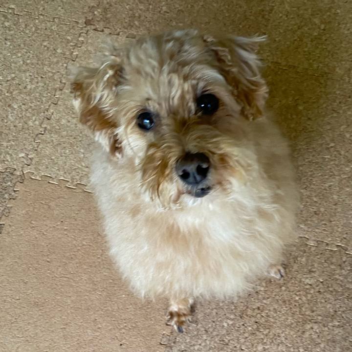 3a7f6452 1908 4bc4 9564 83131d2716c6 1688259460579