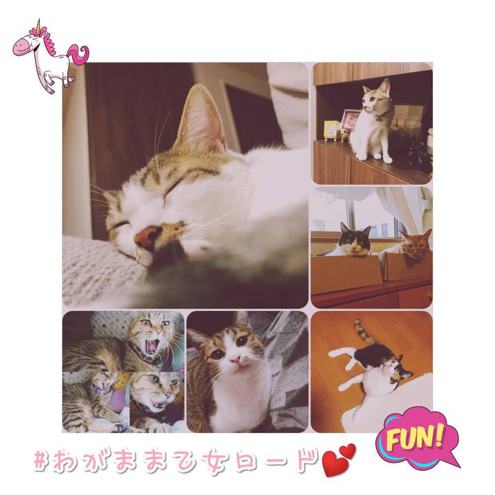 3a7f84d9 9c0f 46f5 adfb 21cb302e15cc 1568798199951