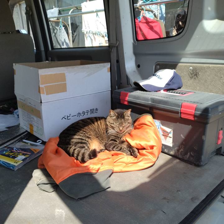 3a7f8d7d 7116 4659 ac3d 3b37289a9b94 1683167418984