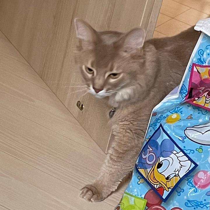 3a7f91d6 6da2 4a9c 9f3e 1c9bd44aa85a 1627194985664