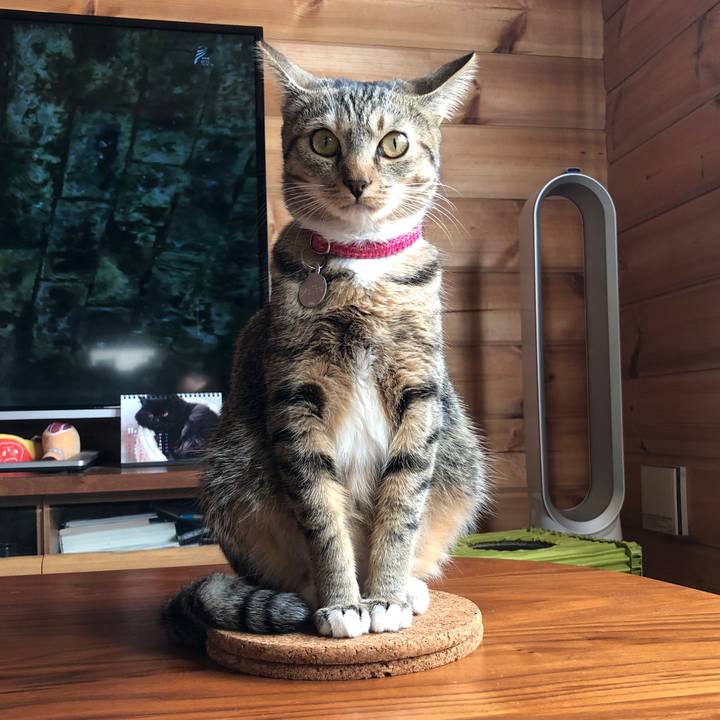 3a7fec07 97a3 4691 9c21 8c90c9e93342 1575417317939