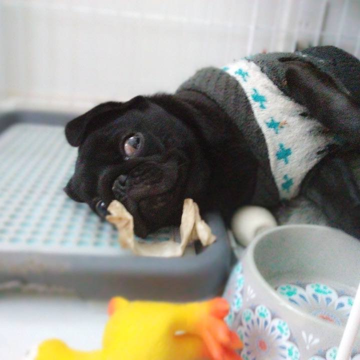 3a7fee77 4337 44c0 97ea e30b6986e15b 1608459427904