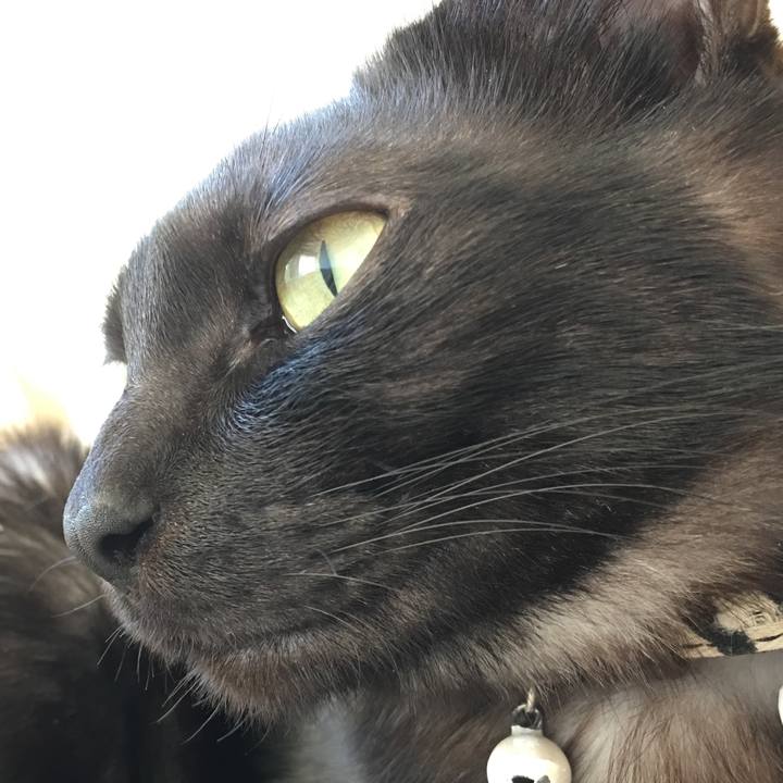 3a7ff409 dc08 4322 87a5 dfb2ea2db316 1523670761976