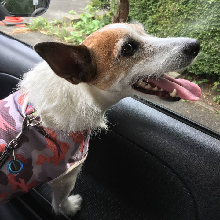 3a7ffc0d 671c 4a11 8ae5 ffa0a05d1c80 1657325245451