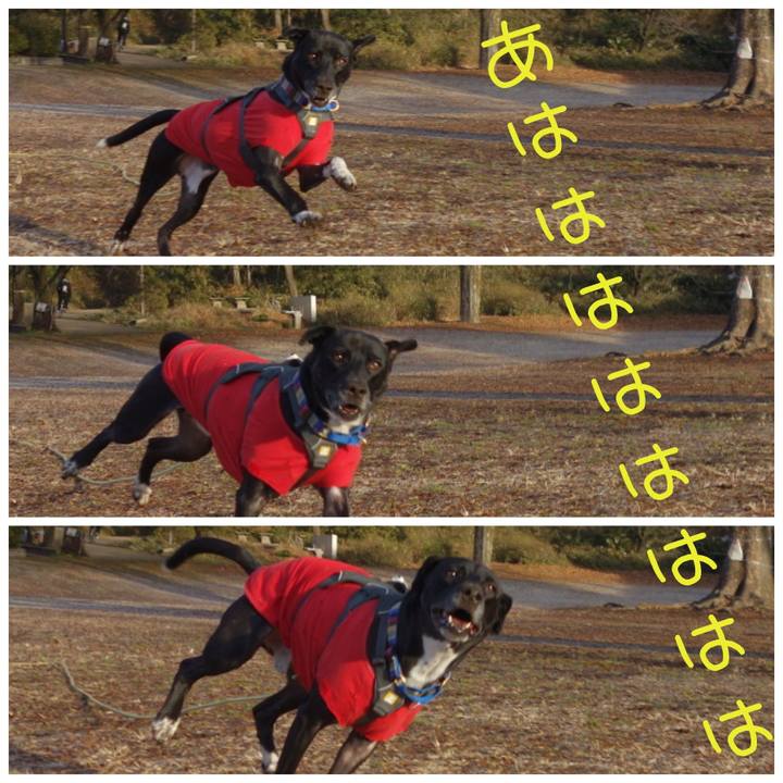 3a8051d8 c953 4c1a 8df9 e734e810a5fe 1642382419348