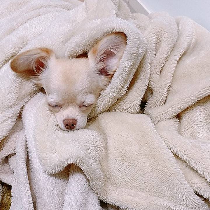 3a80cad0 e4c1 4c80 9693 f1cc7d51ba6e 1602453646903