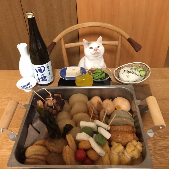 3a80dbf1 109a 43a9 8864 8511110af3cc 1509785966163