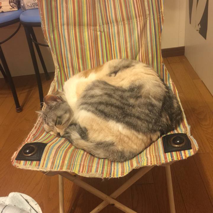 3a8176eb 5469 4990 91c5 8d4d57eebffc 1561467130486