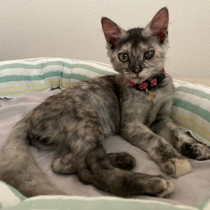 3a818142 779a 463c 8a74 e3112dcec422 1693809173726