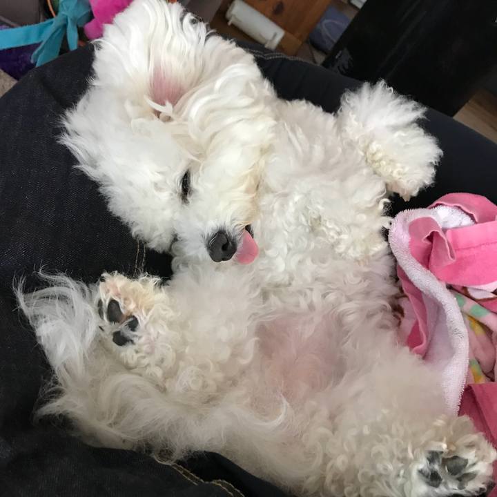 3a81a004 200b 4b05 afb9 c2f1c93b875e 1554362739577