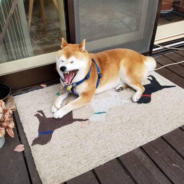 3a81aee8 9b68 4983 846d 9bd379d70a1a 1553129422892