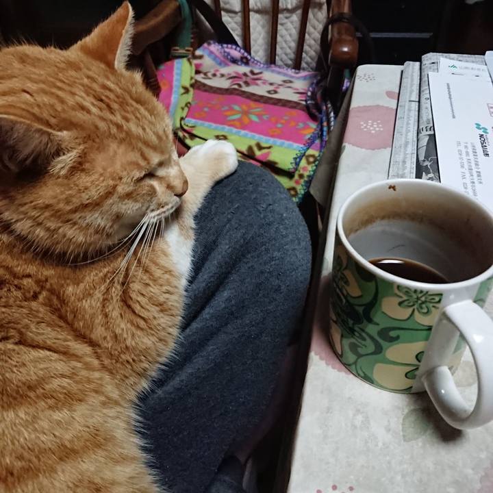 3a81bbfa 89b2 4de1 8148 931264fdfddc 1579381416772