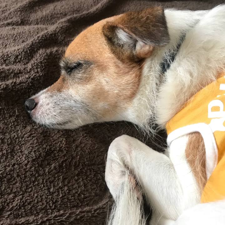 3a81ce99 4d99 47e1 8450 8c8bc67abb52 1535956434134