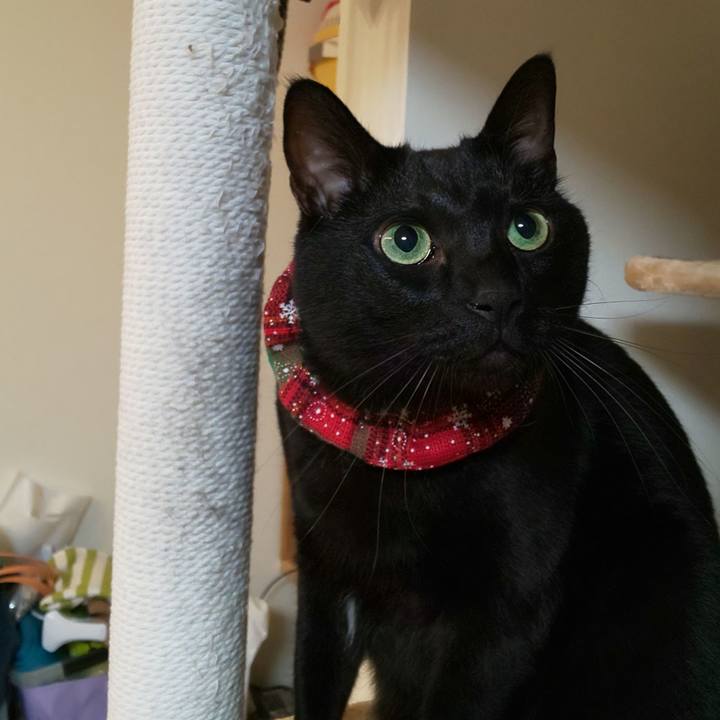 3a81fc6e b392 4254 aa1e 47d211da953e 1640099574088