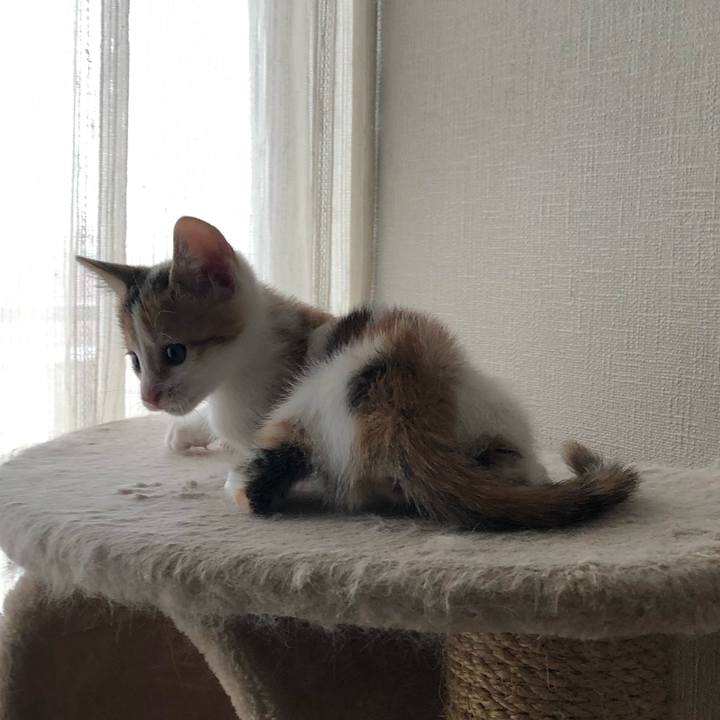 3a822c8e ebb2 4f4b 830f b4c5f51c62a7 1561771171424