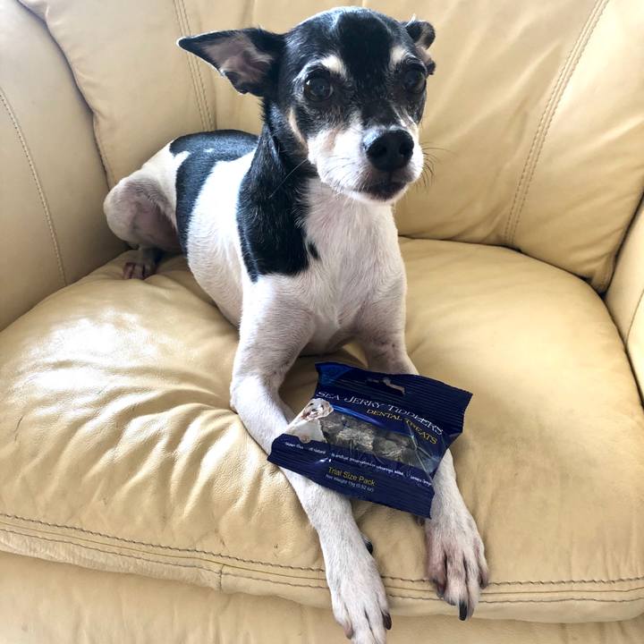 3a829ed4 39af 42ad ac5d 0e75531e2528 1569728766235