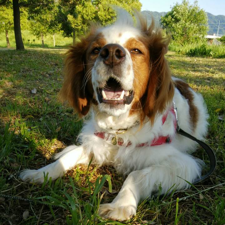 3a82b481 b569 4897 a41d 008d4aa23420 1558698770217