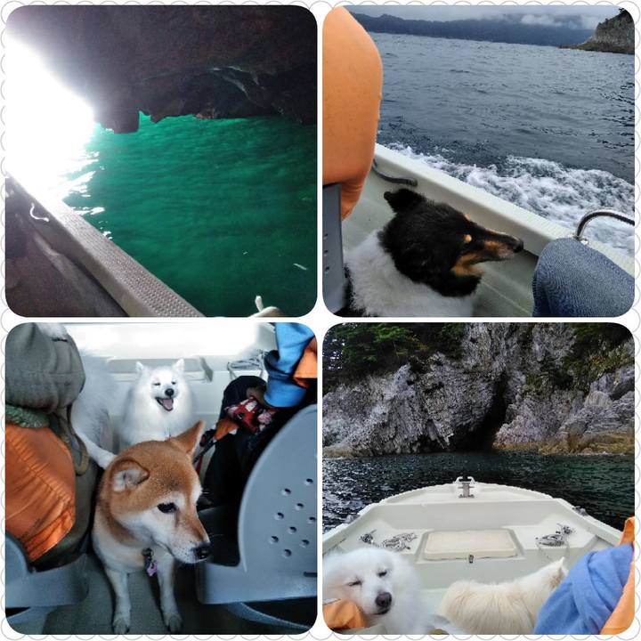 3a82c1ec 8df2 48a7 8a63 4c47cfe65ff0 1538829486217