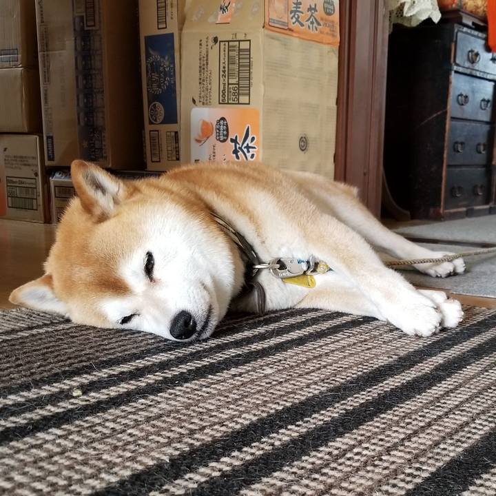 3a82d70f 56ef 47c7 983c 536427f7b704 1591155060732