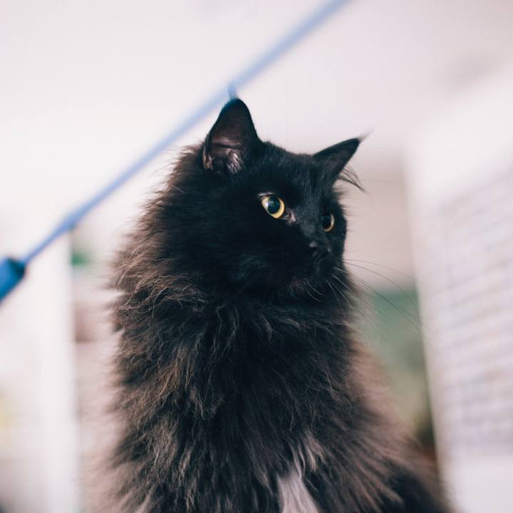 3a82d8d5 6d37 4146 be73 7e7d1fff0df2 1552625095682