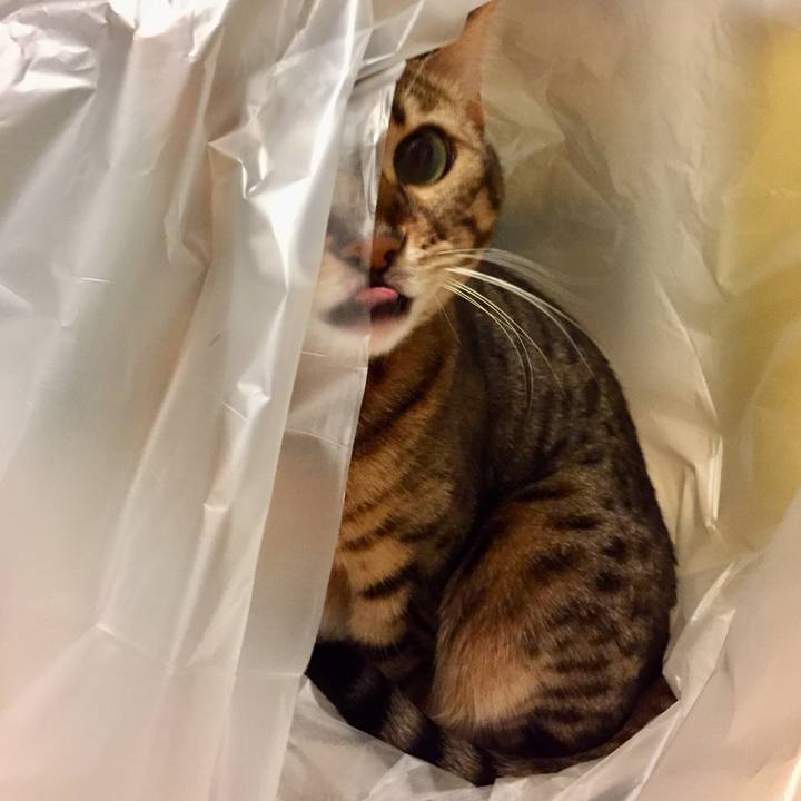 3a82e765 e744 4bd6 965d 33bbc4f4bfac 1508189772035