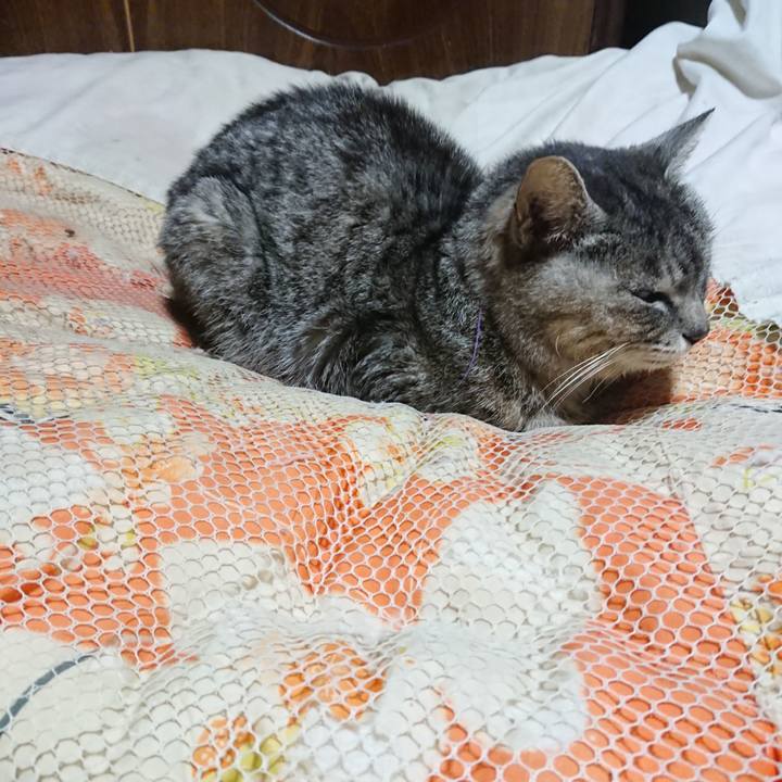 3a82fb1f 0c40 4dd7 b416 fa4a37a4ecf4 1584101404996