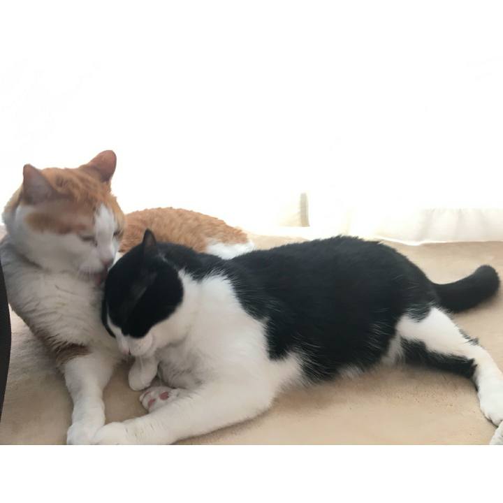 3a83078b 7d96 44f8 8657 d634ba2ac0af 1520818555022