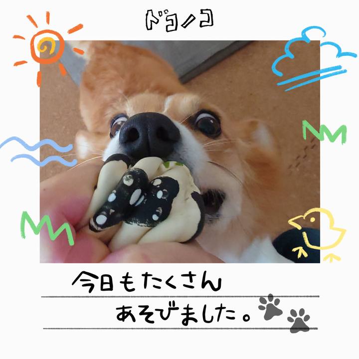 3a830a9b d6eb 4d8c b804 342f48f23135 1755389145021
