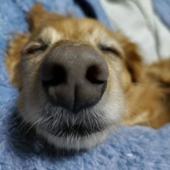 3a837140 63e1 4b0e 98c8 658251a4e320 1669876418570