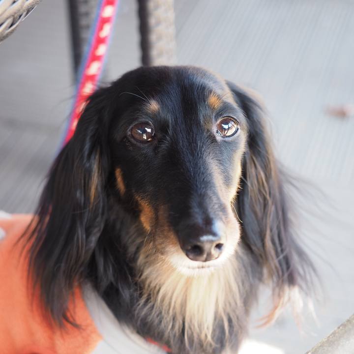 3a83909c 46d5 4182 88ac a2c962f18ae7 1615783195613