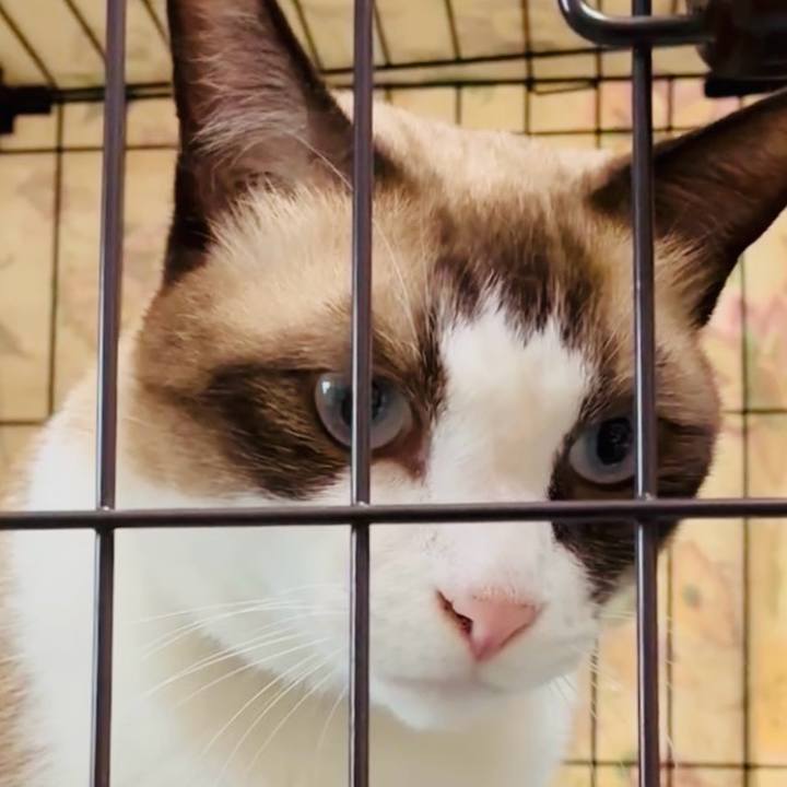 3a839a10 5857 4dbb 9ec8 a829befa0d6c 1758507937405