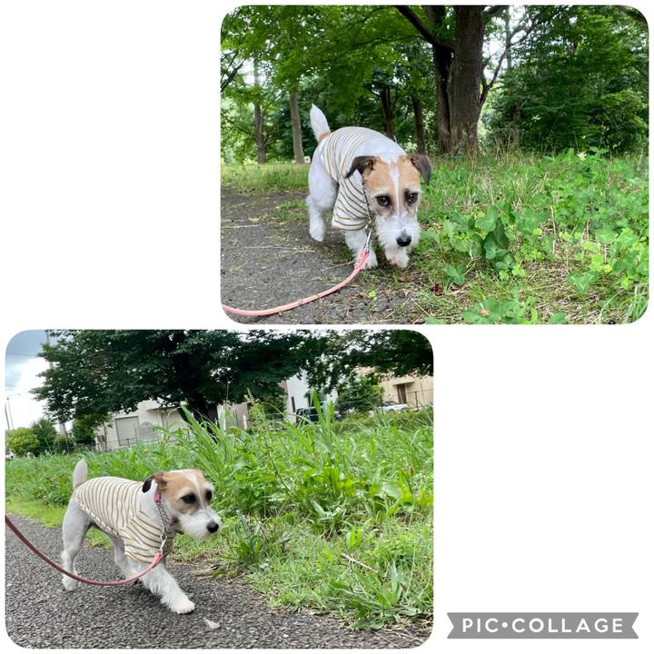 3a83aabb 341e 49fc a5e4 3062de71d18b 1623826654484