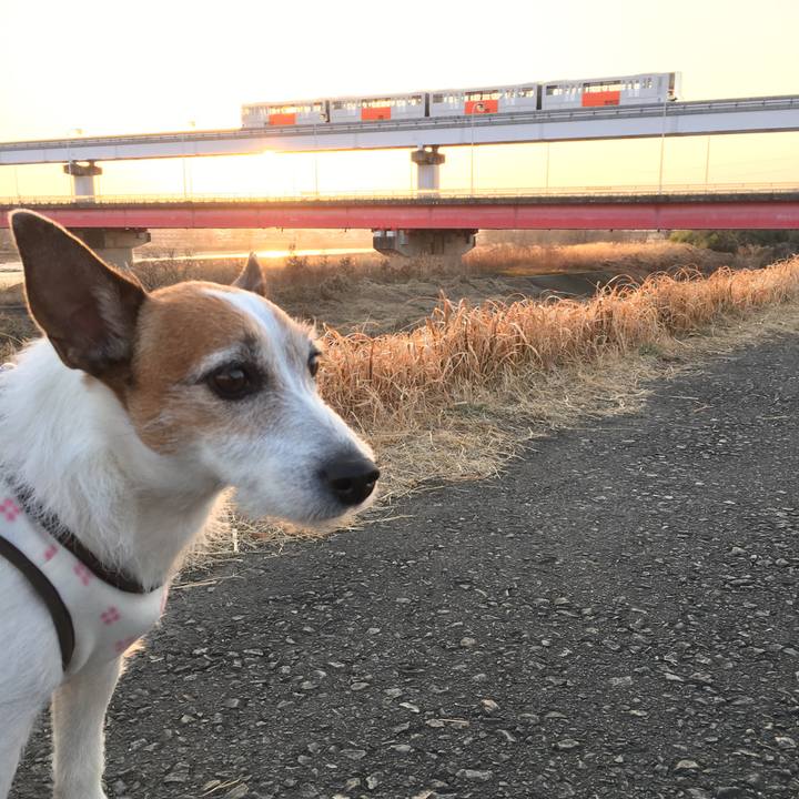 3a83ac9e 1809 4ae4 ae4c 8435567bebce 1613950017780