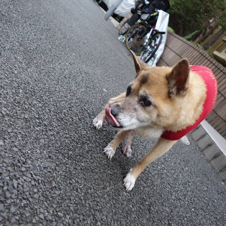 3a83ad8d db0d 40a5 89ca c7ee4621bbed 1566859619390