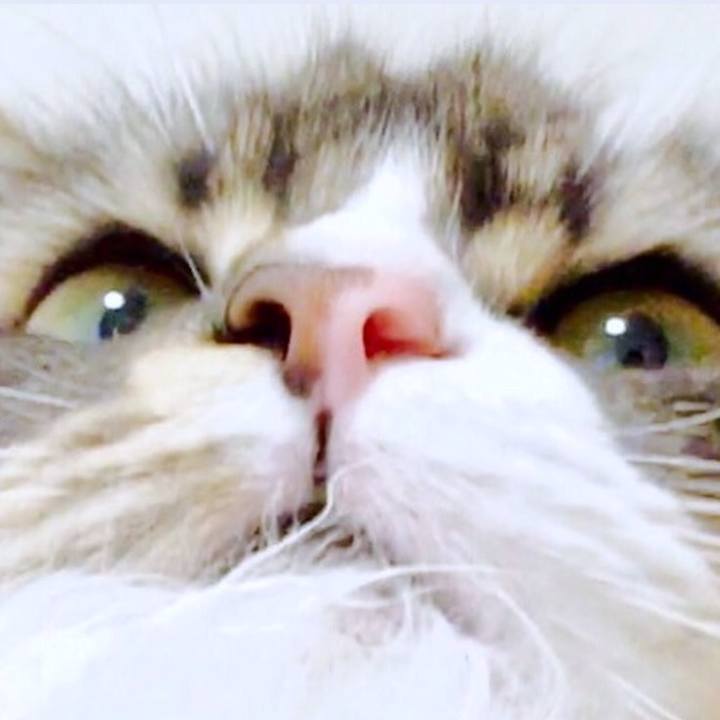 3a83e5c7 2ec2 4865 8e4d b984e40c4a37 1515442649309