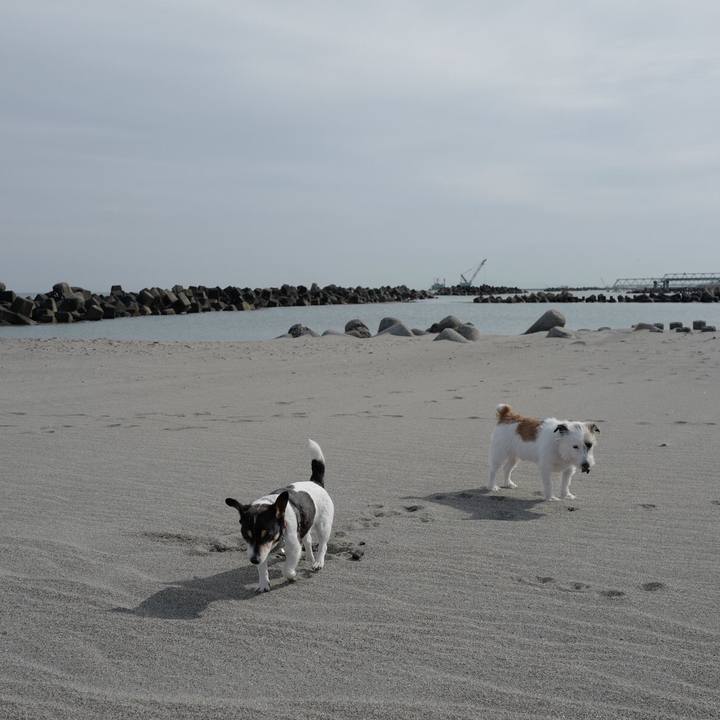 3a84218e c72a 4057 a037 caf466f3be8a 1557372826599