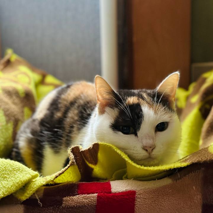 3a843a4a 334e 4edf 84c1 a6f2a2a1170d 1708653690125