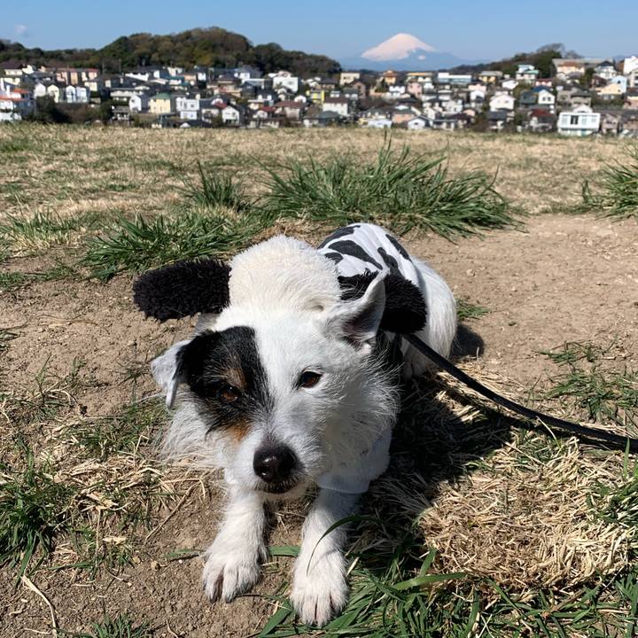 3a846091 f7de 47c3 af05 cca18ab08df4 1711069184860