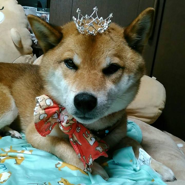 3a848913 8a7a 4260 809f 96828308abf6 1530163643170