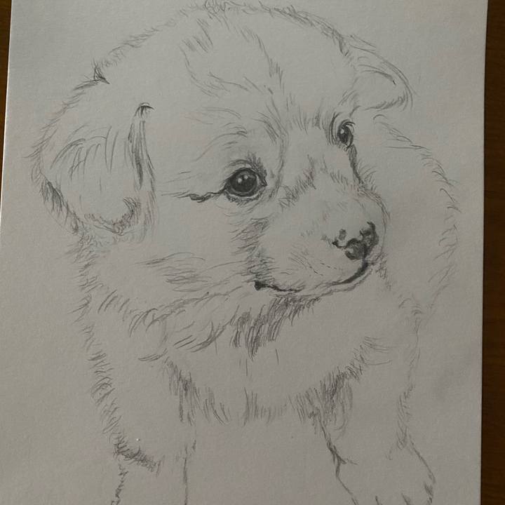 3a84b2cf 4e3d 40c5 996a a00abf541f79 1623132047738