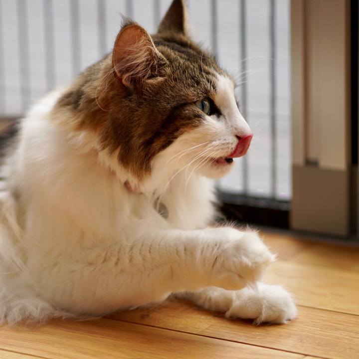 3a84c9c7 00b5 47a8 a436 d9be69340be7 1569288810044