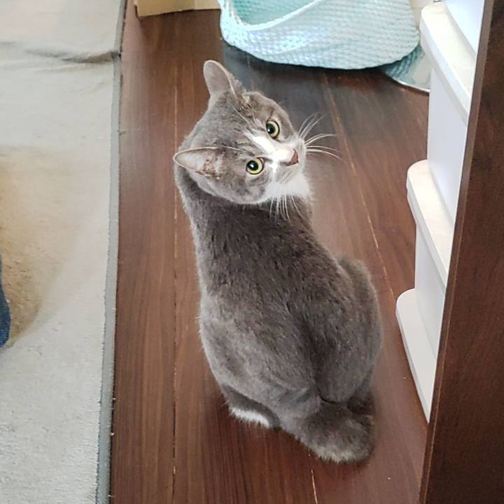 3a85226e cd0f 441d 9c3c ae4196f39d36 1682082394055