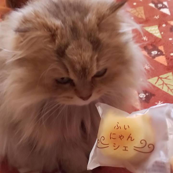 3a85524c 68a1 45ae 956b 08a8eb195c3a 1615262470359