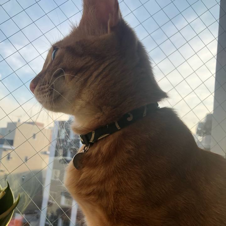 3a85764f a2df 4e1e 8619 ceae7ccae30b 1637302587871