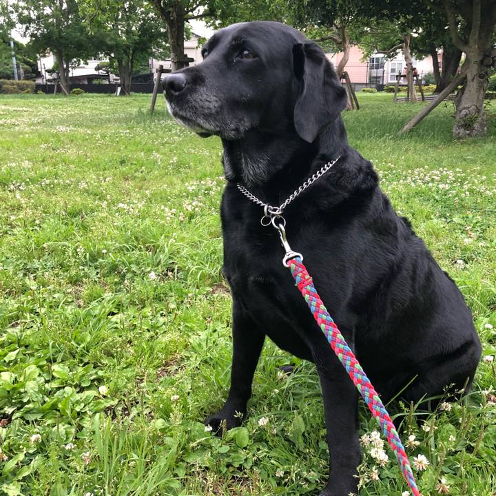 3a858acd 372d 4daf 833f 1aa655f09b5f 1525340795077