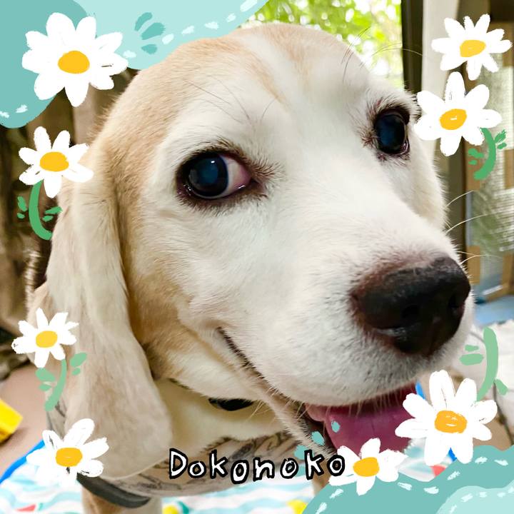 3a858c8c 0418 42d2 a148 01cd3fba799a 1712203440538